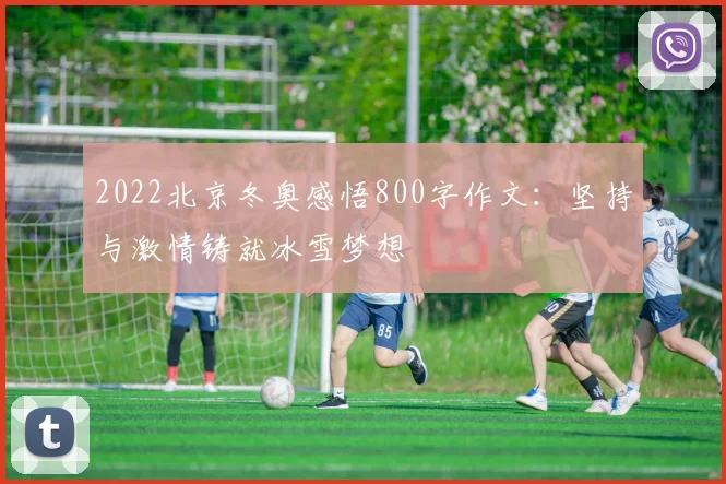 2022北京冬奥感悟800字作文：坚持与激情铸就冰雪梦想