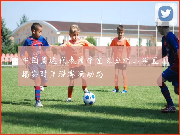 中国奥运代表团夺金点分析山猫直播实时呈现赛场动态