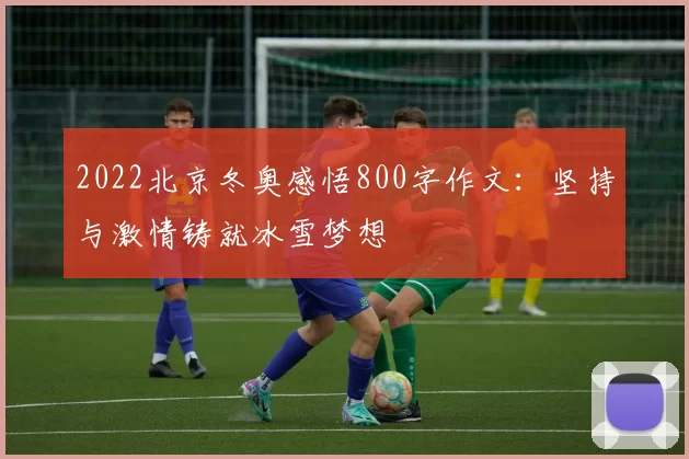 2022北京冬奥感悟800字作文:坚持与激情铸就冰雪梦想